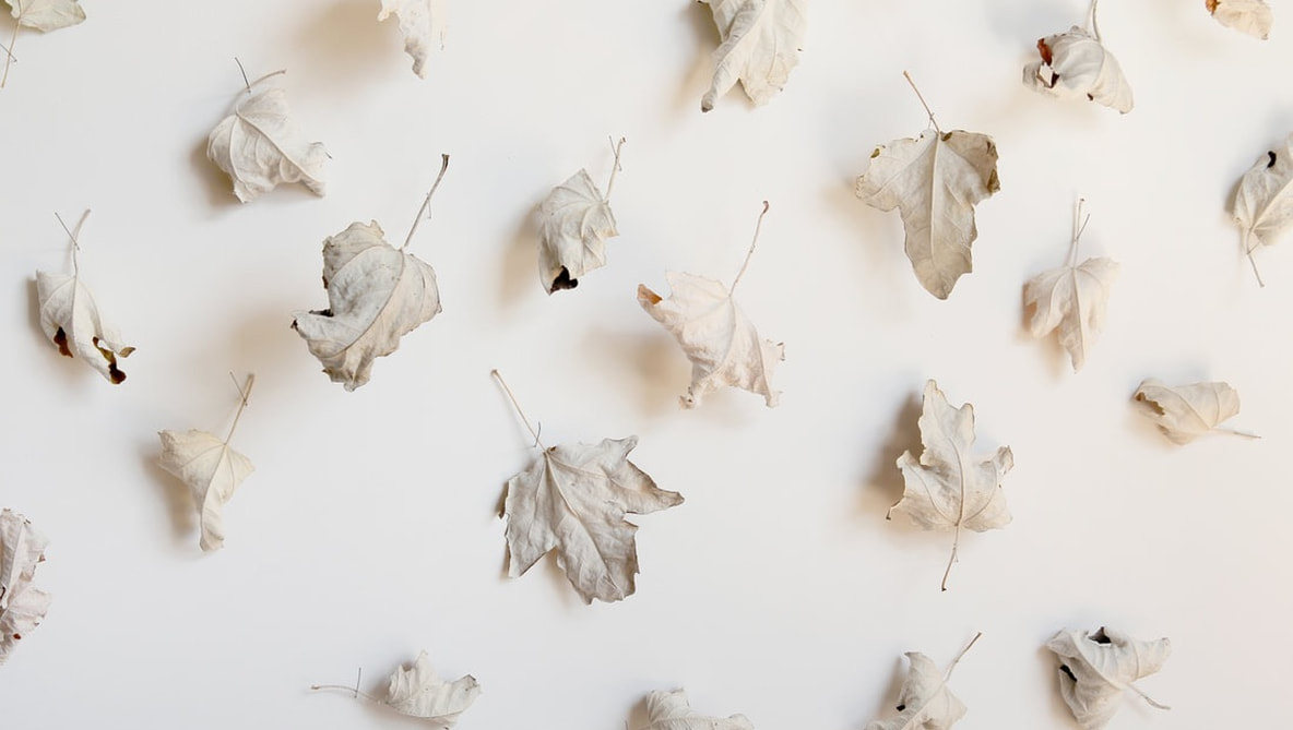 White leaves installation